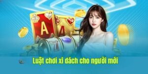 Tìm hiểu về luật chia bài trong cá cược xì dách